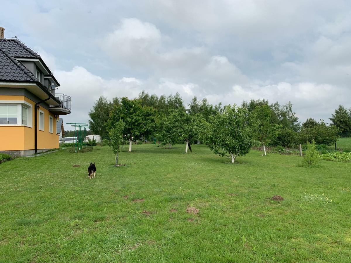 Agroturystyka Nad Wielkim Szelagiem Stare Jabłonki Buitenkant foto